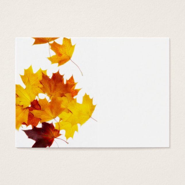 Feuilles d'érable (Devant)