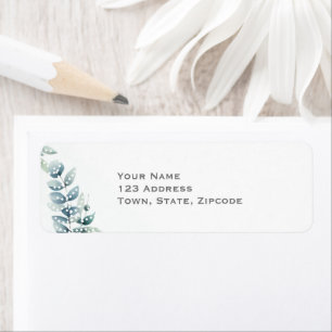 Feuilles d'eucalyptus verdure botanique Mariage
