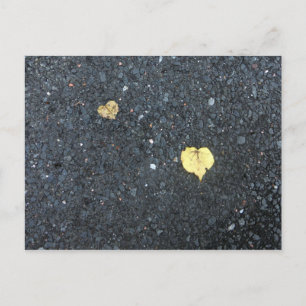 Feuilles du coeur - Carte postale d'amour d'automn