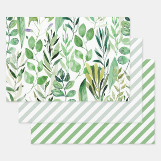 Feuilles élégantes d'aquarelle verte en bandes dia