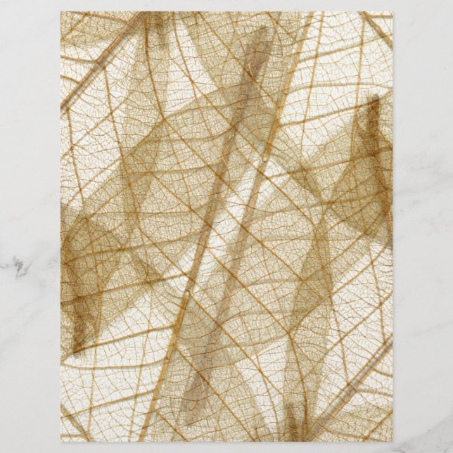 Feuilles en dentelle beige crème pâle (Devant)