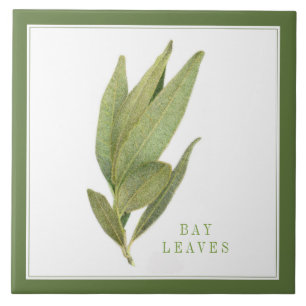 FEUILLES FRESH BAY 6"x6" Carreaux en céramique (+t