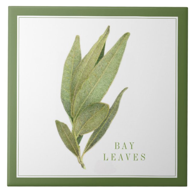 FEUILLES FRESH BAY 6"x6" Carreaux en céramique (+t (Devant)