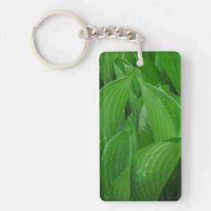 Feuilles Hosta avec Porte - clé acrylique Raindrop
