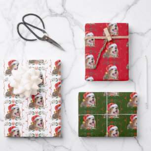 Feuilles papier d'enveloppement de Noël de chien b