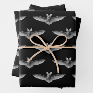 Feuilles papier enveloppant chauves-souris