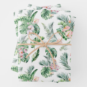 Feuilles tropicaux et fleurs Botanique