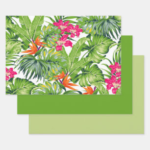 Feuilles Vertes Tropicales Fleurs Roses Oranges