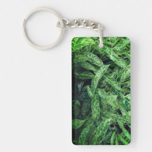 Feuilles verts