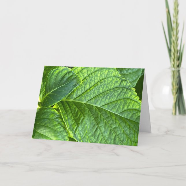 Feuilles verts dans la carte de note blanche de gr (Devant)