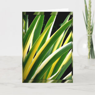 feuilles verts et or sur carte noire