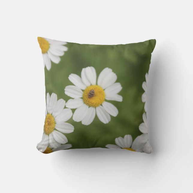Feverfew outdoor throw pillow (Front)