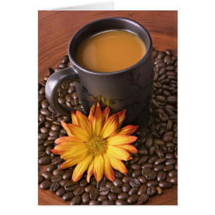 Fèves de café et marguerite jaune