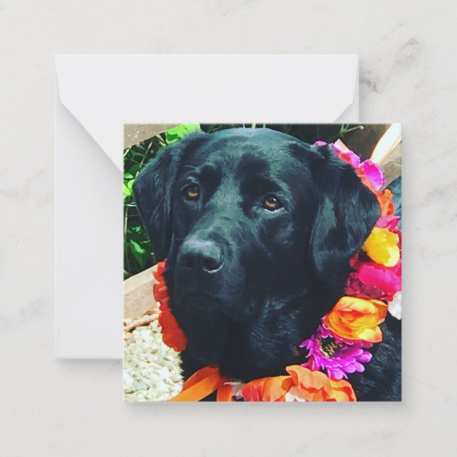 Fia Flower Dog avec carte florale Collal Note Card (Devant)