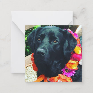Fia Flower Dog avec carte florale Collal Note Card