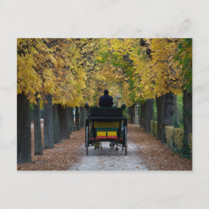 Fiaker In Schönbrunn, Wien Österreich Postcard