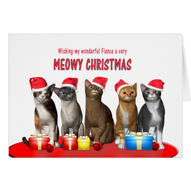 Fiance, Cats in Christmas hats (Front Horizontal)