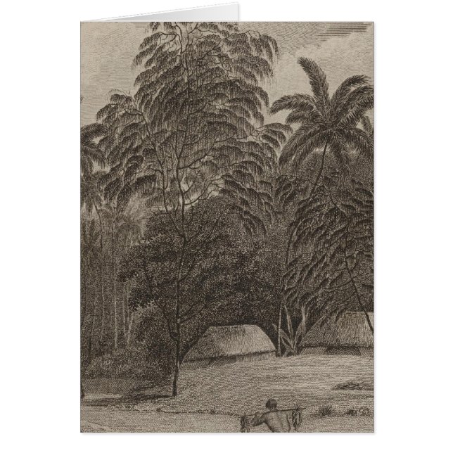 Fiatooka, Tongataboo, Tonga (Devant)