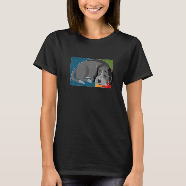 Fibonacci Dog or Golden Ratio and Spiral or Fibona T-Shirt (Front)