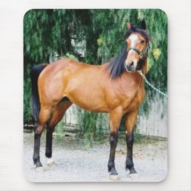 Fibonacci Mouse Pad (Front)