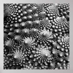 Fibonacci Vegetable Fractal, Romanesco Broccoli Poster