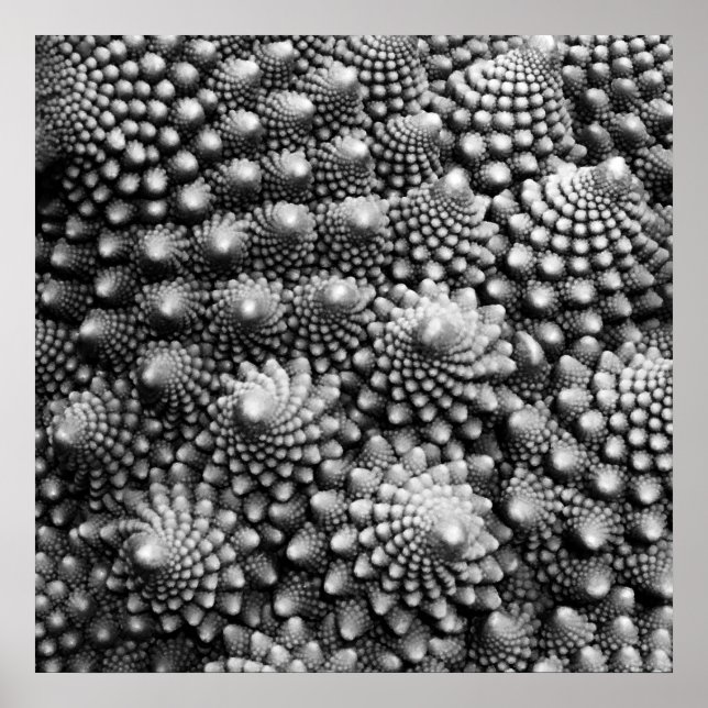 Fibonacci Vegetable Fractal, Romanesco Broccoli Poster (Front)
