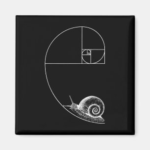 Fibonacci With Snail Mathematics Math Teacher Geom Magnet