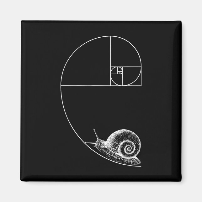 Fibonacci With Snail Mathematics Math Teacher Geom Magnet (Front)