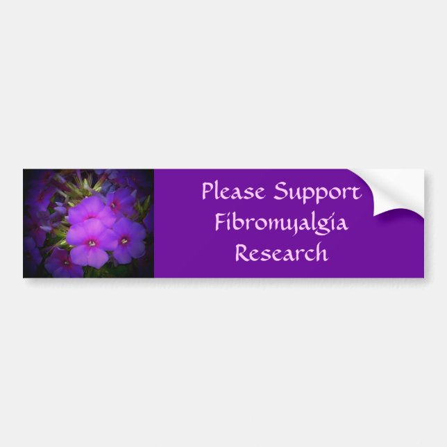 Fibromyalgia Bumper Sticker (Front)