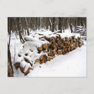 Fichier journal dans la carte postale Woods