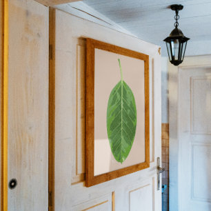 Ficus altissima 'Yellow Gem' leaf Poster