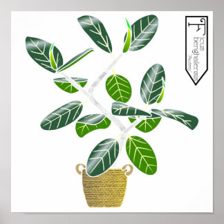 Ficus benghalensis 'Audrey' Fig Tree Poster Imprim