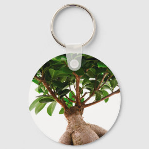 Ficus Ginseng Keychain