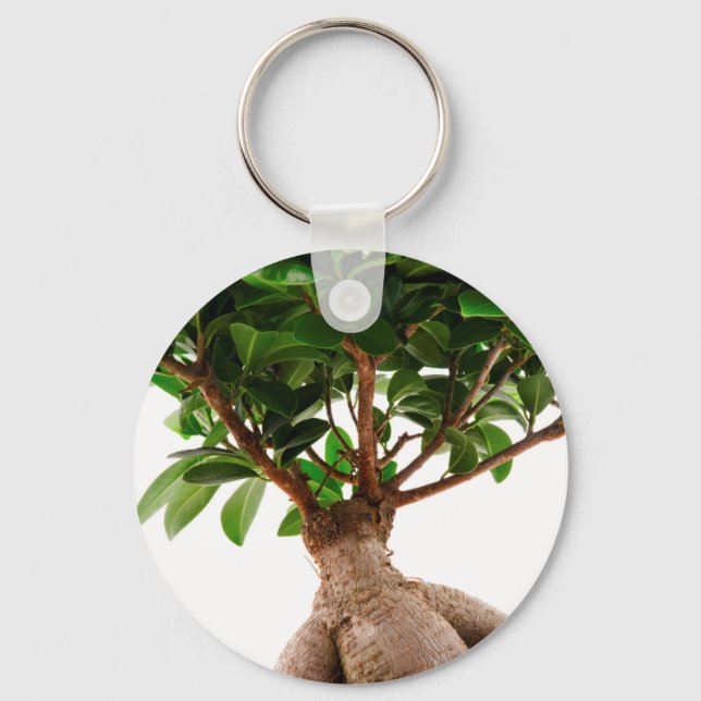 Ficus Ginseng Keychain (Front)