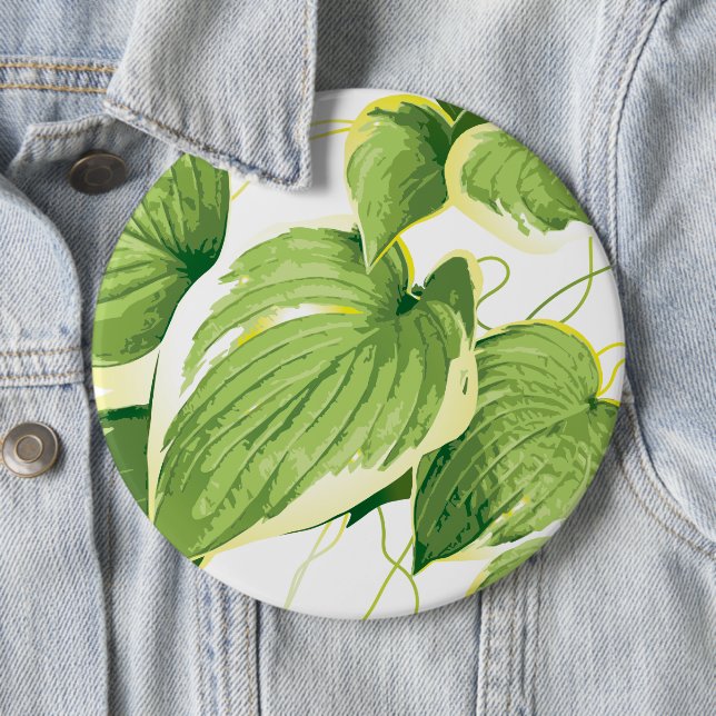 Ficus Plant 2 6 Inch Round Button (In Situ)