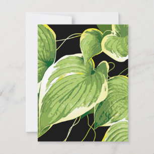 Ficus Plant 3 Card