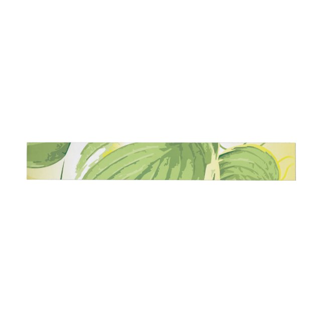 Ficus Plant 4 Wrap Around Label (Individual)