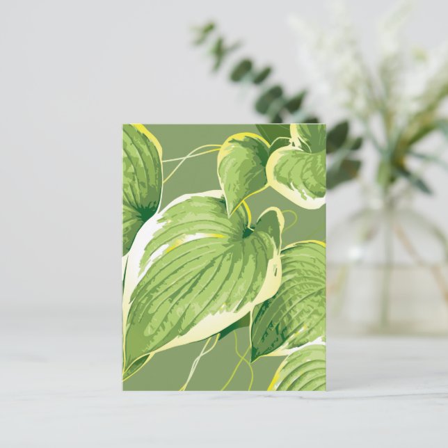 Ficus Plant 5 Postcard (Standing Front)