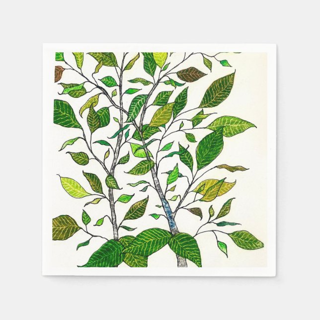 Ficus Plant Color Pencil Tree Drawing  Napkin (Front)