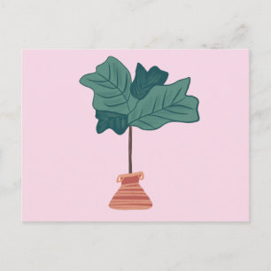 Fiddle Fig Tree Green Potted Plant Pink Postcard