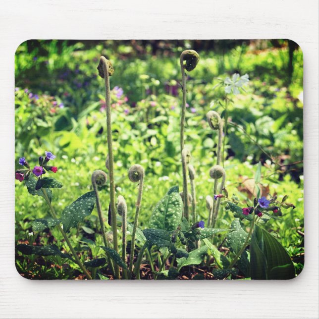 Fiddlehead Ferns And Flowers  Mouse Pad (Front)