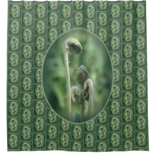 Fiddlehead Ferns Nature Pattern