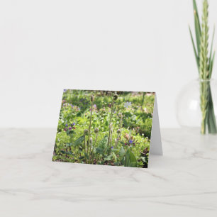 Fiddleheads And Flowers Blank Note Card