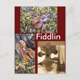 fiddlin fanatic postcard