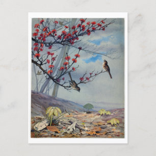Fidelia Bridges Holiday Postcard