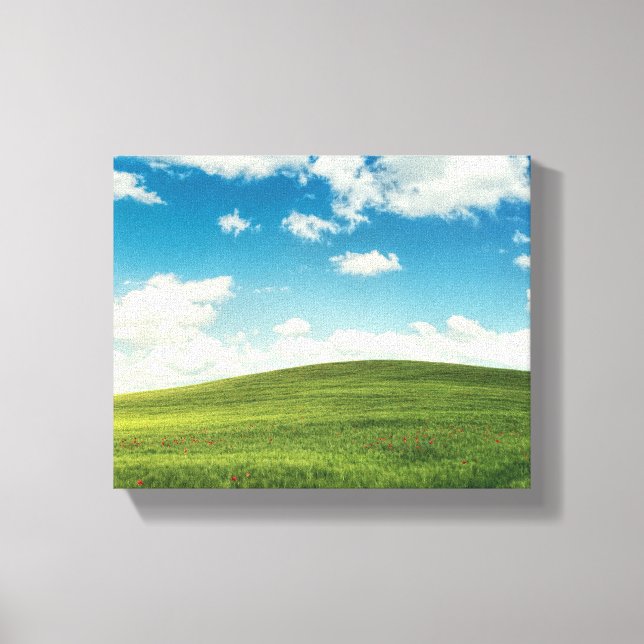 Field Canvas Print (Front)