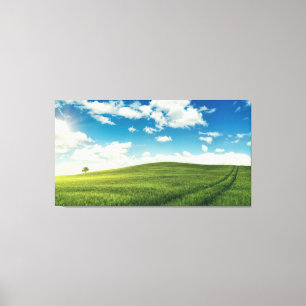 Field Canvas Print