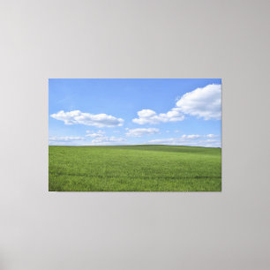 Field  canvas print