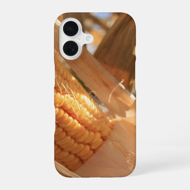 Field Corn on Stalk iPhone 16 Case (Back)