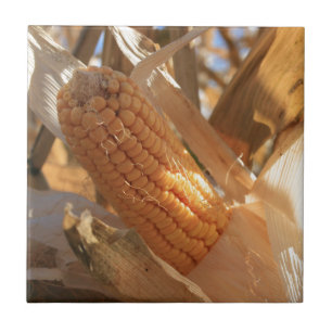 Field Corn on Stalk Tile